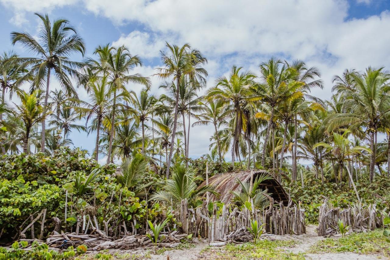 Hotel Lote 10 Glamping Guachaca Zewnętrze zdjęcie