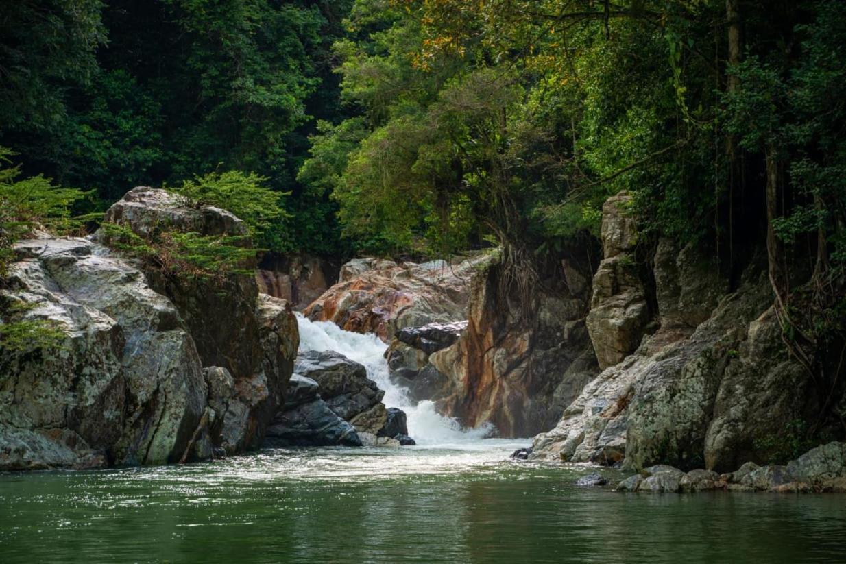 Hotel Lote 10 Glamping Guachaca Zewnętrze zdjęcie